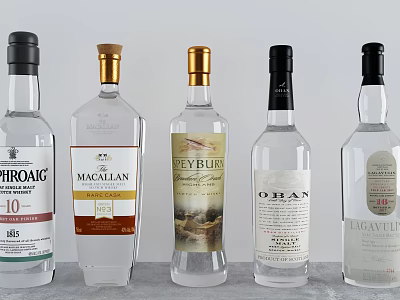 Elegant Display of Premium Spirits Bottles Including Whiskey and Vodka Brands 3d model