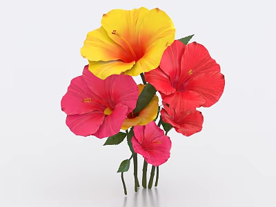 Colorful Yellow and Pink Hibiscus Flowers with Green Leaves and Stems Against White Background 3d model