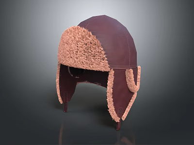 Brown Leather Winter Hat With Faux Fur Trim And Ear Flaps Design 3d model