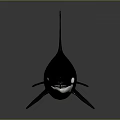Orca Whale Black And White Body With Dorsal Fin Realistic 3D Render On Gray Background
