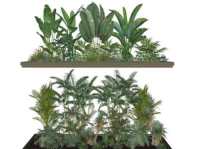 Layered Greenery Display With Tropical Plants And Diverse Foliage Varieties On Shelves 3d model