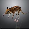 Aardvark with Brown and White Stripes Long Snout Big Ears and Slender Legs