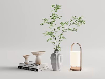 Stylish Decorative Ornament Set with Vase Green Plant Books Small Ornaments and Lantern 3d model