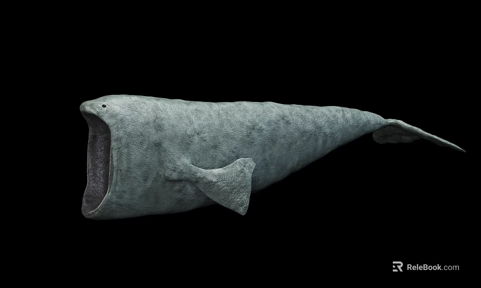 Prehistoric Marine Creature With Gray Body Open Mouth And Large Size On Black Background 3d model 