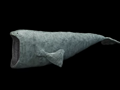 Prehistoric Marine Creature With Gray Body Open Mouth And Large Size On Black Background 3d model