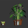 Various Potted Plants With Green Leaves And Decorative Pots For Home Decor