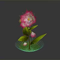 Vibrant Pink Flower With Fresh Green Leaves And Small Pink Buds On Green Base