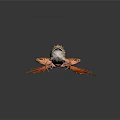 Brown Spotted Frog with Large Blue Eyes and Webbed Feet on Black Reflective Surface
