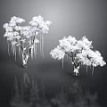 Two White Frosted Trees With Hanging Icicles And Clear Reflection On Dark Background