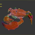 Red Crab With Shiny Shell Large Claws And Black Eyes On Dark Reflective Surface 3d model
