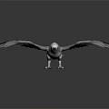Realistic 3D Model of Eagle with Spread Gray Feathers on Black Background 3d model