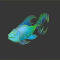 Vibrant Colorful Tropical Fish With Blue Pink Orange Hues And Reflection