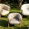 Comfortable Outdoor Armchairs On Green Lawn With Flowers Tree And Plaid Blanket