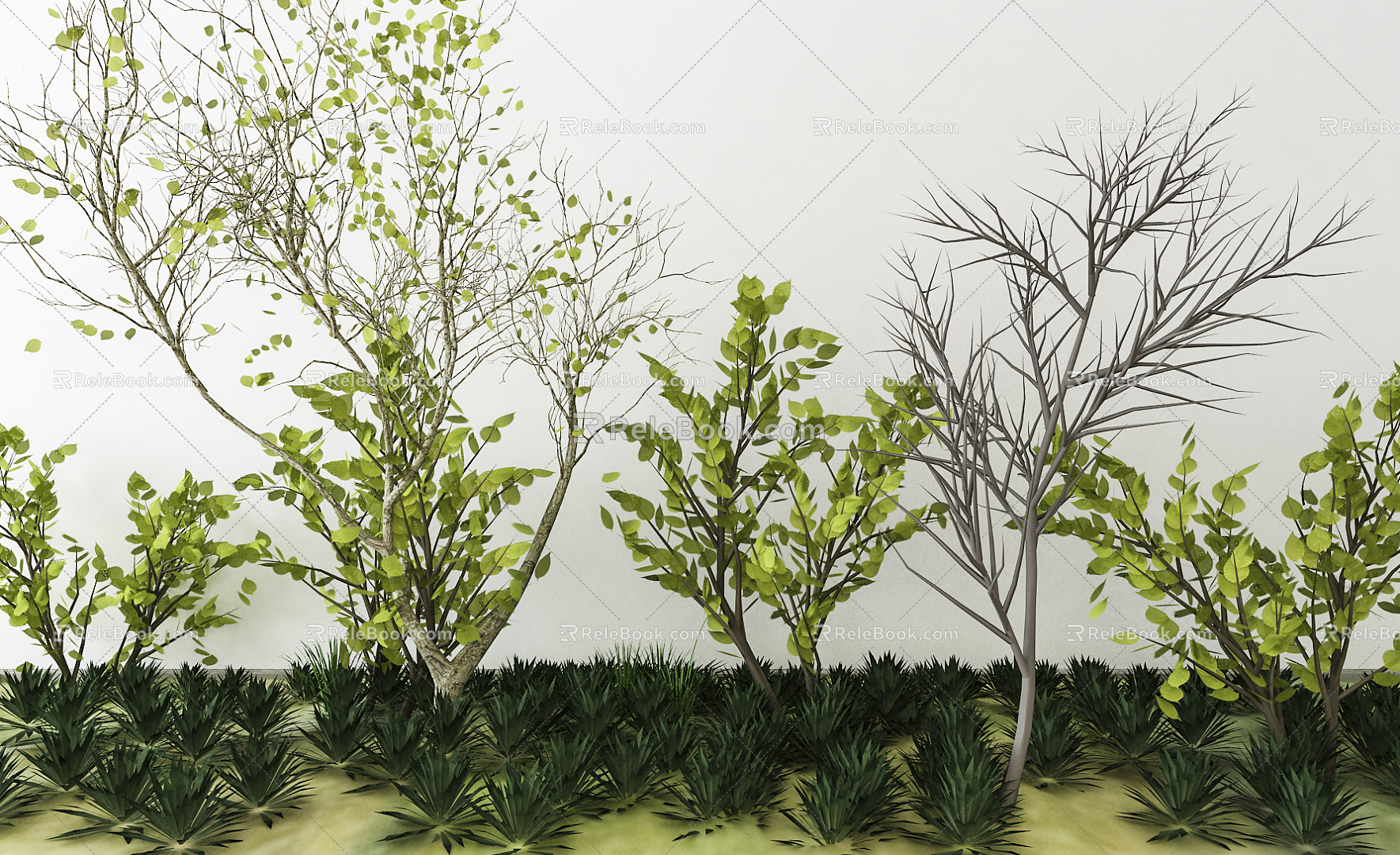 Modern Tree Plants 3d model