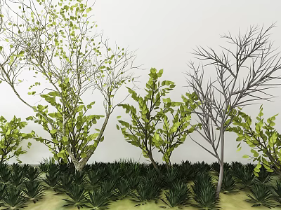Arbor Trees With Green Leaves And Bare Branches In Grass Surroundings 3d model
