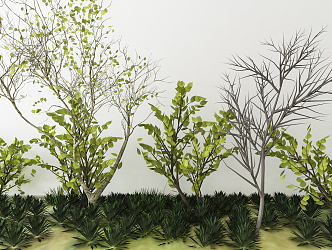 Modern Tree Plants 3d model