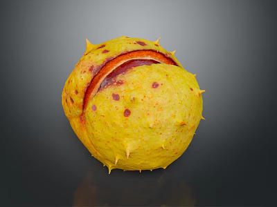 Fresh Edible Chestnut With Spiky Yellow Shell And Red Spots Split Open 3d model