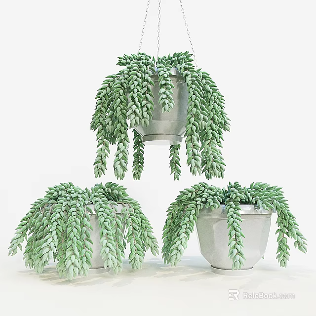 Decorative Ornament Set With Hanging Green Plants And White Pots For Home Decor 3d model 