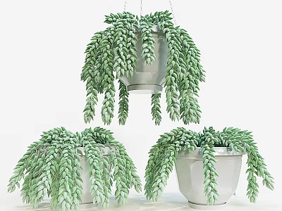 Decorative Ornament Set With Hanging Green Plants And White Pots For Home Decor 3d model