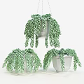 Decorative Ornament Set With Hanging Green Plants And White Pots For Home Decor