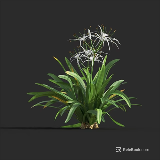Lush Green Leafy Plant With White Slender Petaled Flowers And Vibrant Foliage 3d model 