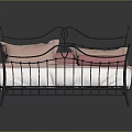 Simple Modern Black Metal Bed With White Mattress Pink Pillows Sheets And Bolster