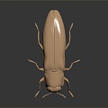 Modern beetles of the genus Giddinium Narrow Giddinium 3d model