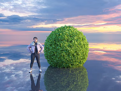 Lush Green Round Bush With Person Standing Beside Calm Water Sunset Sky Reflection 3d model