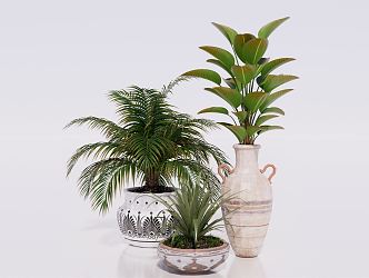 Modern Potted Plant Green Plant Potted Plant Green Plant Furnishings Ornaments Plant Potted Plant 3d model