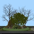 Lush Green Trees And Red Shrubs In Vibrant Garden With Stones Grass And Blue Sky