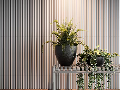 Modern Potted Plant 3d model