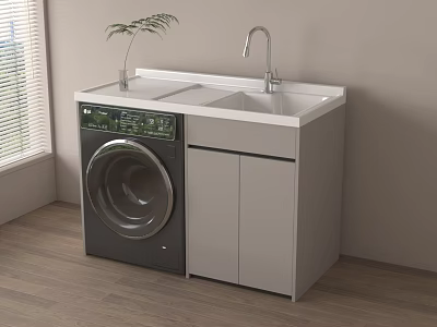 Modern Front Loading Washing Machine with Sink Countertop Cabinet Plant and Wooden Floor Near Window 3d model