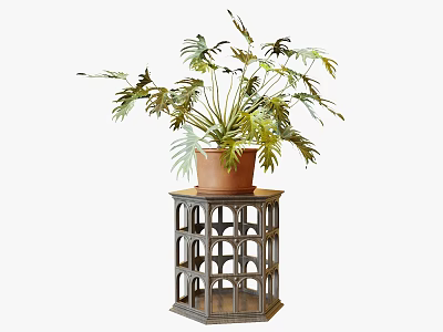 Bonsai Potted Plant with Green Leaves in Brown Pot on Grey Hexagonal Lattice Decorative Stand 3d model