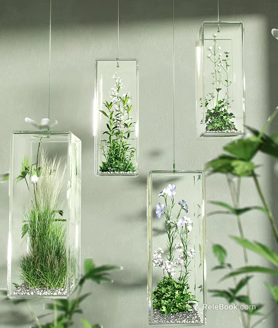 Hanging Transparent Glass Containers With Small Plants For Decorative Garden Accents 3d model 