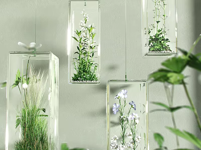 Hanging Transparent Glass Containers With Small Plants For Decorative Garden Accents 3d model