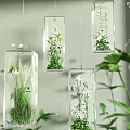Hanging Transparent Glass Containers With Small Plants For Decorative Garden Accents