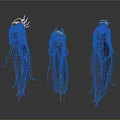 Three Elegant Long Black Hairpieces With Decorative Ornaments For Daily Use