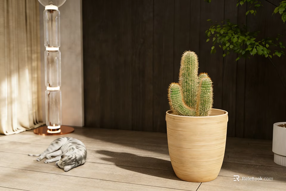 Cactus Potted Plant in Beige Ceramic Pot with Lying Cat Floor Lamp and Wooden Wall 3d model 