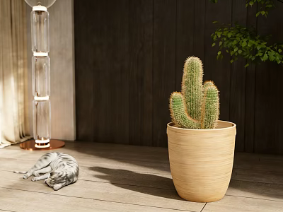 Cactus Potted Plant in Beige Ceramic Pot with Lying Cat Floor Lamp and Wooden Wall 3d model