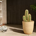 Cactus Potted Plant in Beige Ceramic Pot with Lying Cat Floor Lamp and Wooden Wall
