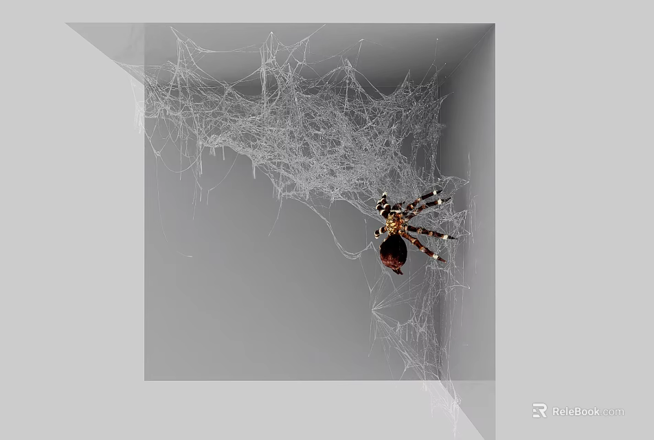 Reptile Lizard Resting In Gray Corner With Intricate Web Background Details 3d model 