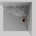 Reptile Lizard Resting In Gray Corner With Intricate Web Background Details