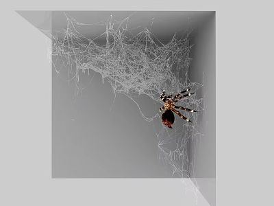 Reptile Lizard Resting In Gray Corner With Intricate Web Background Details 3d model