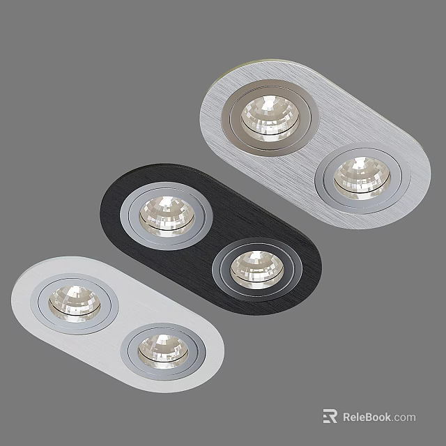 Modern Downlight Spotlight with Double Bulb Design Silver Black White Housing for Indoor Lighting Decoration 3d model 