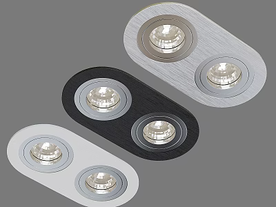 Modern Downlight Spotlight with Double Bulb Design Silver Black White Housing for Indoor Lighting Decoration 3d model