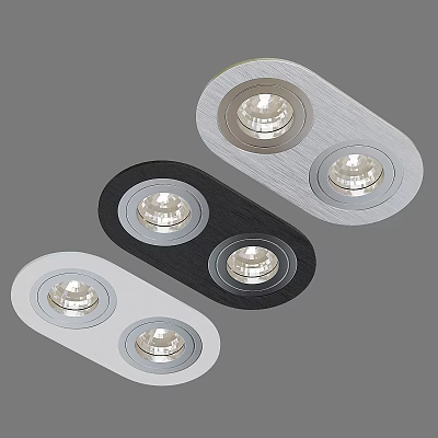 Modern Downlight Spotlight with Double Bulb Design Silver Black White Housing for Indoor Lighting Decoration 3d model