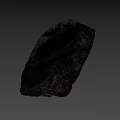 Natural Ancient Fossil Leaf Preserved in Stone with Detailed Vein Structure