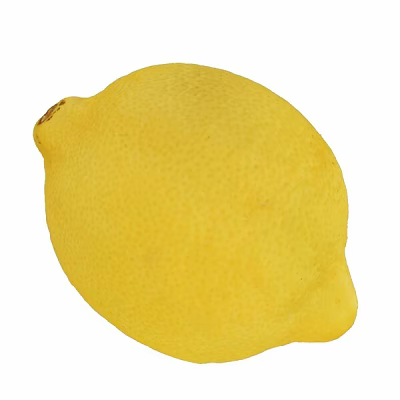 Fresh Ripe Organic Yellow Lemon With Smooth Shiny Skin And Juicy Flesh 3d model