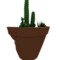 Decorative Bonsai Potted Plants in Broken Ceramic Pot with Succulents Cactus and Greenery