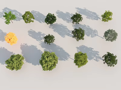 Multiple Green and Yellow Arbor Trees Arranged with Shadows on Gray Background 3d model